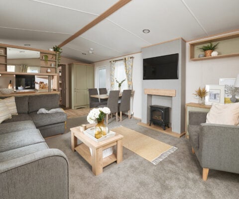 Gray lounge couch with TV with and the electric fire place