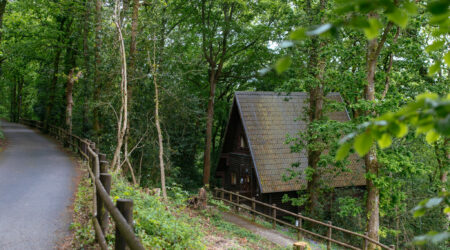 A-frame woodland lodge nested in the wood exterior view with greenery background